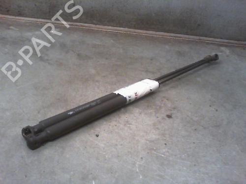 Used Tailgate lift support PEUGEOT 207 (WA_, WC_) 1.6 HDi (92 hp) 23116053