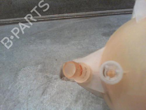 Used Expansion tank Expansion tank PEUGEOT 207 (WA_, WC_) 1.6 16V Turbo (150 hp) 23112189 23112189