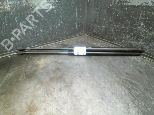 Tailgate lift support FORD FOCUS C-MAX (DM2) 2.0 TDCi | BP14873573C138 