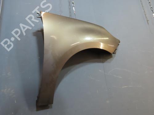 Left front fenders RENAULT SCÉNIC III (JZ0/1_) 1.9 dCi (JZ0J, JZ1J, JZ1K, JZ1S) | BP21088099C41 