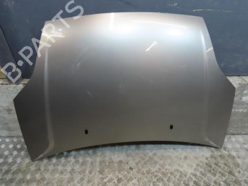 Hood FORD FIESTA V (JH_, JD_) 1.4 TDCi | BP11211929C1 