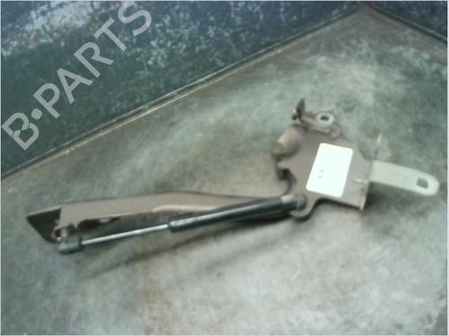 Charnière/Limiteur de porte RENAULT GRAND SCÉNIC III (JZ0/1_) 1.9 dCi (JZ0J, JZ0N, JZ1K, JZ1S) (131 hp) 23114599