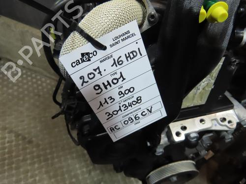 Used Engine Engine 38256125 38256125