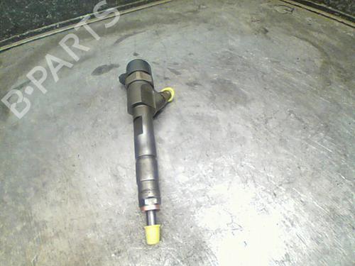 Used Injector RENAULT MEGANE II (BM0/1_, CM0/1_) 1.9 dCi (BM0G, CM0G) (120 hp) 12234493