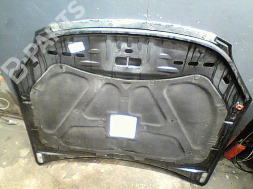 Hood FIAT CROMA (194_) 1.9 D Multijet (194AXC1B, 194AXC12) | BP11211887C1 