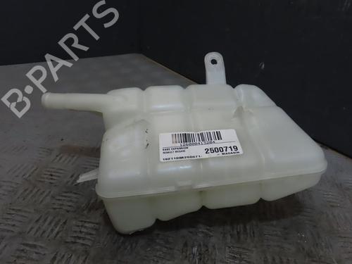 Expansion tank RENAULT MEGANE IV Grandtour (K9A/M/N_) 1.5 Blue dCi 115 (K9A6) | BP29739459C120 