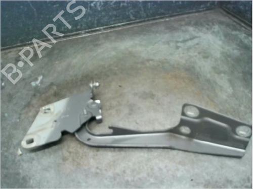 Hinge/Door check strap RENAULT MEGANE III Grandtour (KZ0/1) 1.5 dCi (KZ09, KZ0D, KZ1G, KZ29, KZ14, KZ1W, KZ10, KZ1F,... | BP14873261C146 