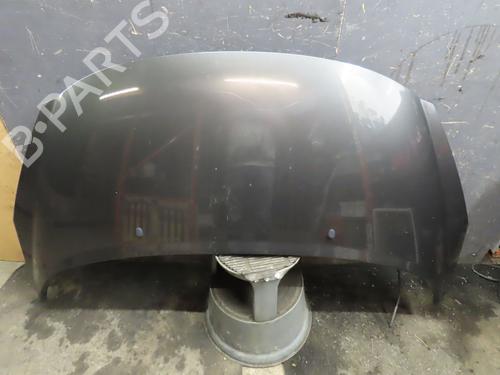 Used Hood PEUGEOT 207 (WA_, WC_) 1.6 HDi (92 hp) 17175384