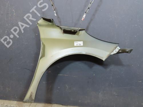 Used Left front fenders PEUGEOT 207 (WA_, WC_) 1.4 16V (95 hp) 30691812