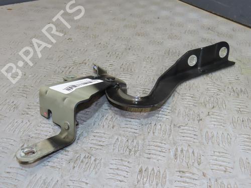 Hinge/Door check strap RENAULT CLIO IV (BH_) 1.5 dCi 75 | BP24519543C146 