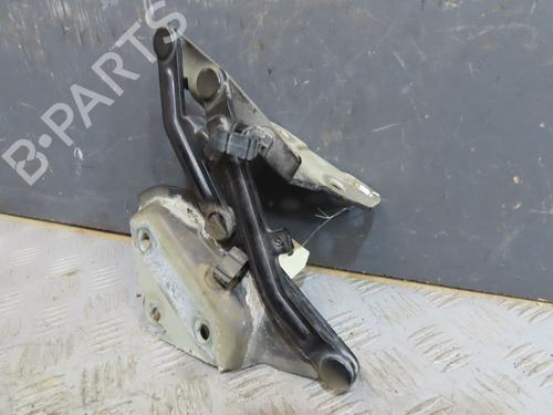 Hinge/Door check strap VW TOUAREG (7LA, 7L6, 7L7) 3.0 V6 TDI | BP29759740C146 