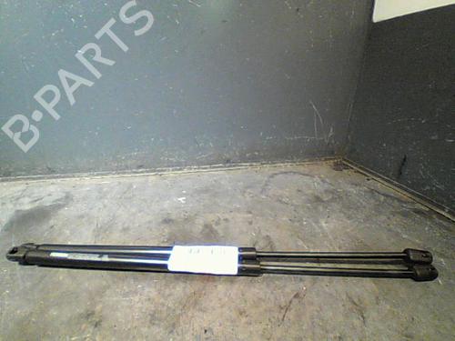 Used Tailgate lift support RENAULT GRAND SCÉNIC II (JM0/1_) 1.5 dCi (JM02, JM13) (101 hp) 14873451
