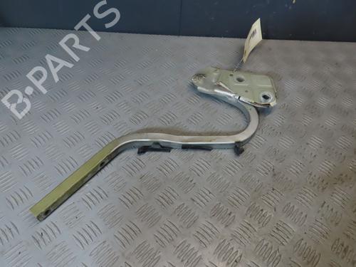 Hinge/Door check strap MINI MINI (R50, R53) One D | BP23114591C146 