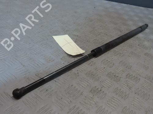 Used Tailgate lift support RENAULT SCÉNIC III (JZ0/1_) 1.5 dCi (110 hp) 19061115