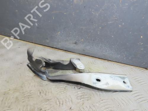 Used Hinge/Door check strap Hinge/Door check strap RENAULT KOLEOS I (HY_) 2.0 dCi (HY0K) (150 hp) 34176137 34176137