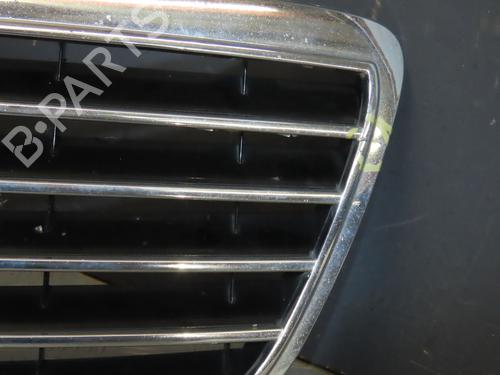 Grille MERCEDES-BENZ E-CLASS (W210) E 320 CDI (210.026) | BP15841682C40 