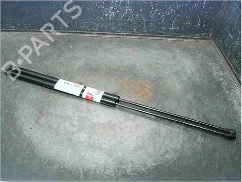 tailgate-lift-support-nissan-juke-f15-2010-2011-2012-2013-2014-2015-2016-2017-2018-2019-23116040 main image