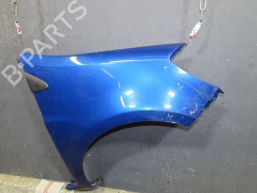 Right front fenders RENAULT CLIO III (BR0/1, CR0/1) 1.5 dCi (C/BR0G, C/BR1G) | BP24991972C42 