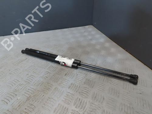 Used Tailgate lift support PEUGEOT 207 SW (WK_) 1.6 HDi (92 hp) 19025252