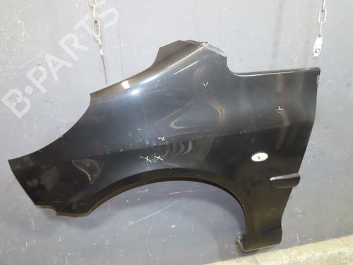 Left front fenders PEUGEOT 1007 (KM_) 1.4 HDi | BP24442509C41
