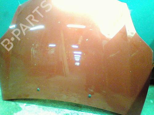 Used Hood Hood FIAT BRAVO II (198_) 1.6 D Multijet (198AXL1B) (120 hp) 28284669 28284669