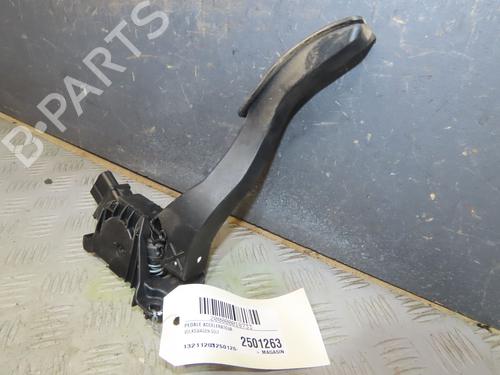Pedal Pedal VW GOLF VII (5G1, BQ1, BE1, BE2) 1.6 TDI (110 hp) 33948275 33948275