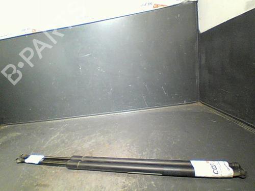 Used Tailgate lift support NISSAN NOTE (E11, NE11) 1.5 dCi (86 hp) 14873526