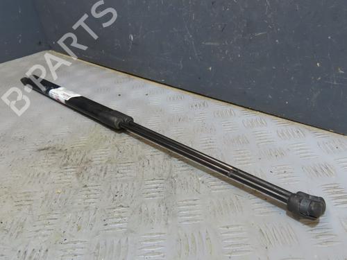 Used Tailgate lift support FORD C-MAX II (DXA/CB7, DXA/CEU) 1.6 TDCi (115 hp) 30740733