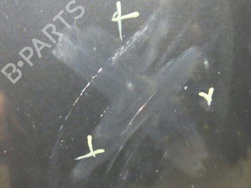 Hood PEUGEOT 1007 (KM_) 1.4 HDi | BP24442510C1