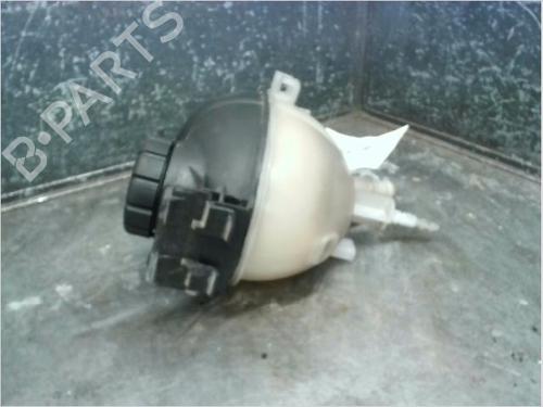 Expansion tank MERCEDES-BENZ E-CLASS (W212) E 220 CDI / BlueTEC (212.001, 212.002) | BP13213900C120 
