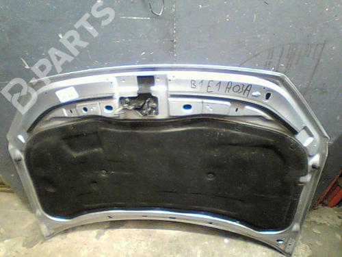 Used Hood VW POLO IV (9N_, 9A_) 1.9 TDI (101 hp) 10764080