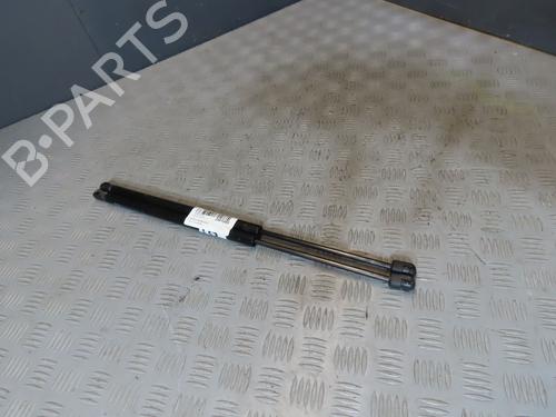 Gassdemper Bakluke RENAULT SCÉNIC II (JM0/1_)  | BP23116052C138 