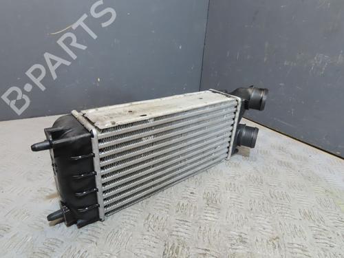 Andre CITROËN C4 II (NC_) 1.6 HDi 110 (112 hp) 24442484