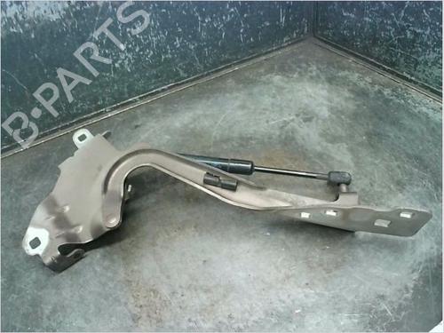 hingedoor-check-strap-renault-grand-scenic-iii-jz01_-2009-2010-2011-2012-2013-2014-2015-2016-23114589 main image