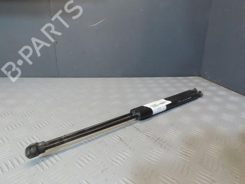 Tailgate lift support PEUGEOT 308 SW II (LC_, LJ_, LR_, LX_, L4_) 1.6 BlueHDi 120 | BP29622551C138 