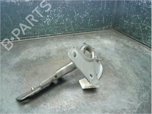 Hinge/Door check strap RENAULT CLIO III (BR0/1, CR0/1) 1.5 dCi (C/BR0G, C/BR1G) | BP14873248C146 