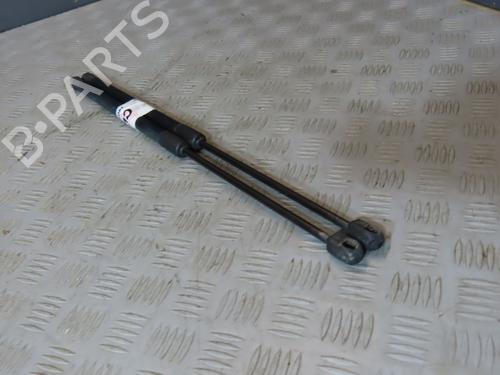 Tailgate lift support VW POLO V (6R1, 6C1)  | BP19798688C138 