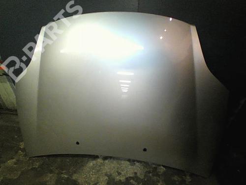 Used Hood FIAT BRAVO II (198_) 1.6 D Multijet (198AXH1B) (105 hp) 10764083
