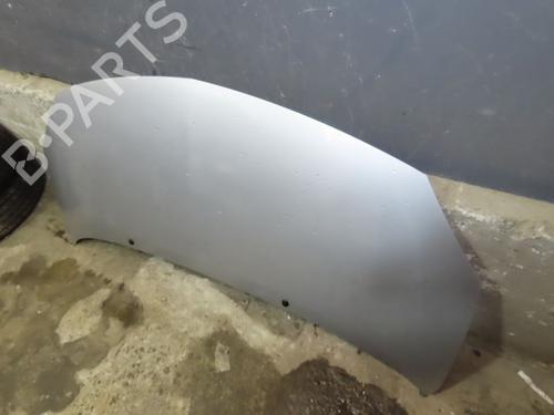 Used Hood RENAULT TWINGO II (CN0_) 1.2 16V (CN0K, CN0V, CN0A) (76 hp) 25750142