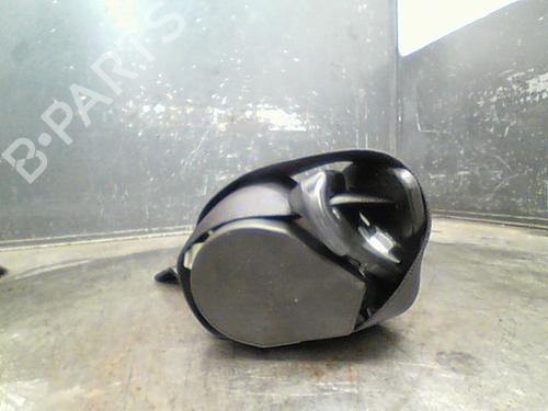 Used Rear right belt tensioner RENAULT SCÉNIC III (JZ0/1_) 1.9 dCi (JZ0J, JZ1J, JZ1K, JZ1S) (131 hp) 10762889