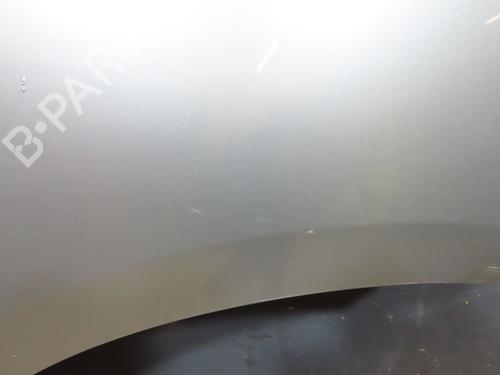 Right front fenders RENAULT SCÉNIC III (JZ0/1_) 1.5 dCi | BP29150844C42 