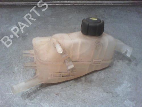 Used Expansion tank RENAULT MEGANE III Hatchback (BZ0/1_, B3_) 1.5 dCi (BZ09, BZ0D, BZ1W, BZ29, BZ14) (110 hp) 23112191
