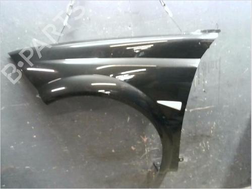 Used Left front fenders RENAULT MEGANE II Coupé-Cabriolet (EM0/1_) 1.9 dCi (120 hp) 14979347