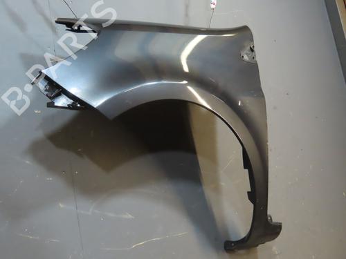 Left front fenders RENAULT CLIO III (BR0/1, CR0/1) 1.5 dCi (BR0H, CR0H, CR1S, BR1S) | BP20493997C41 