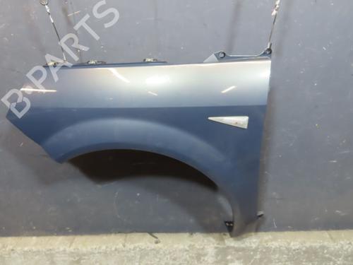 Left front fenders RENAULT SCÉNIC II (JM0/1_) 1.9 dCi (JM14) | BP28159362C41 