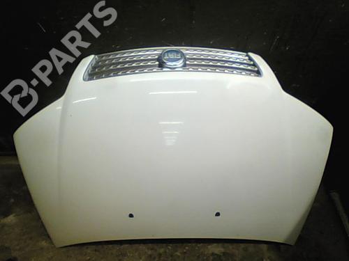Hood FIAT PUNTO (188_) 1.3 JTD 16V | BP10763915C1 