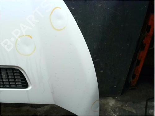 Hood CITROËN JUMPY II Van 2.0 HDi 120 | BP13318101C1 