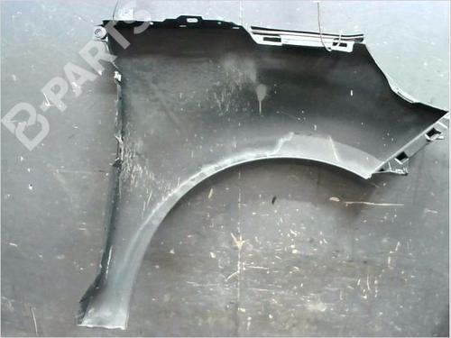 Left front fenders RENAULT SCÉNIC III (JZ0/1_) 1.5 dCi | BP11702561C41 
