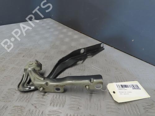 Used Hinge/Door check strap PEUGEOT 207 SW (WK_) 1.6 HDi (92 hp) 19025223
