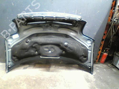 Hood AUDI A2 (8Z0) 1.4 TDI | BP23114525C1 